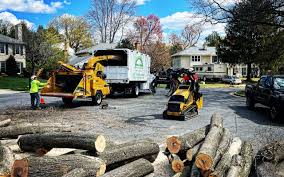 Antigo, WI Tree Services Company